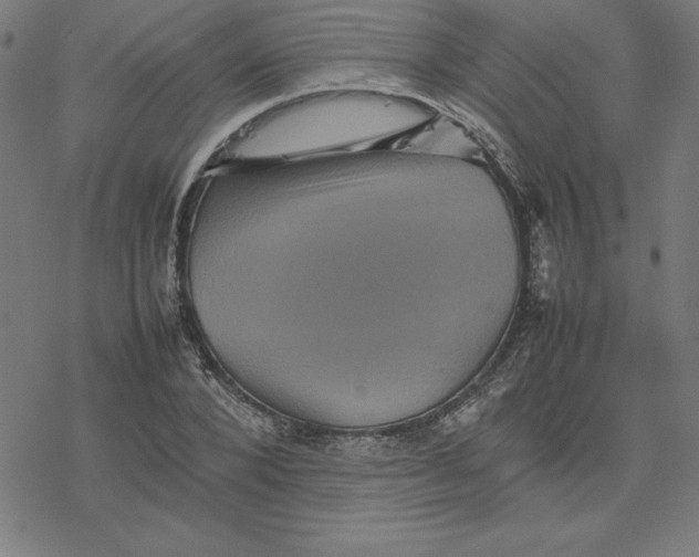 X0000077290880200611101340