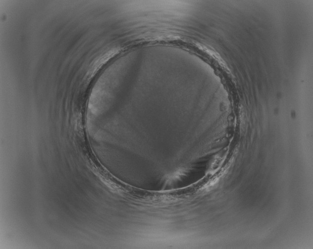 X0000077290881200611101340