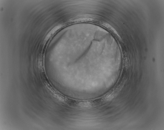 X0000077290882200611101340