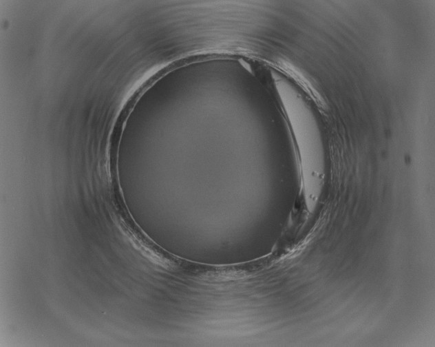 X0000077290884200611101340