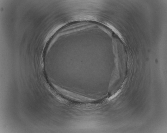 X0000077290885200611101340