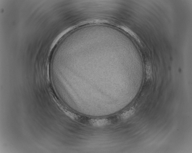 X0000077290886200611101340