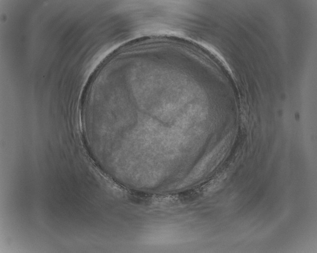 X0000077290887200611101340