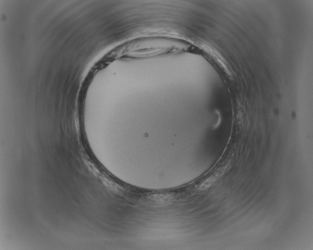 X0000077290888200611101340