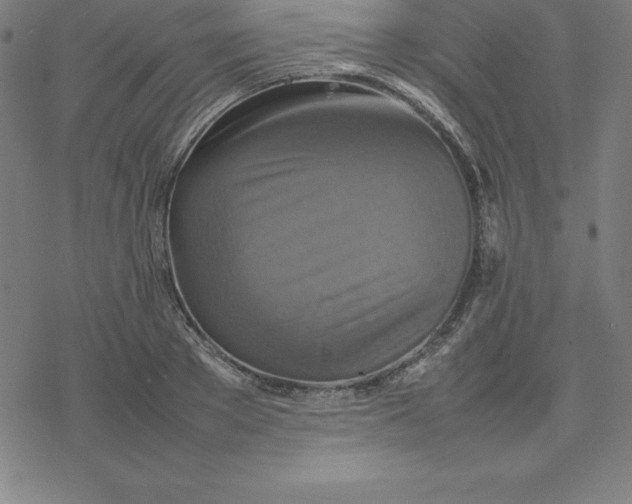 X0000077290889200611101340