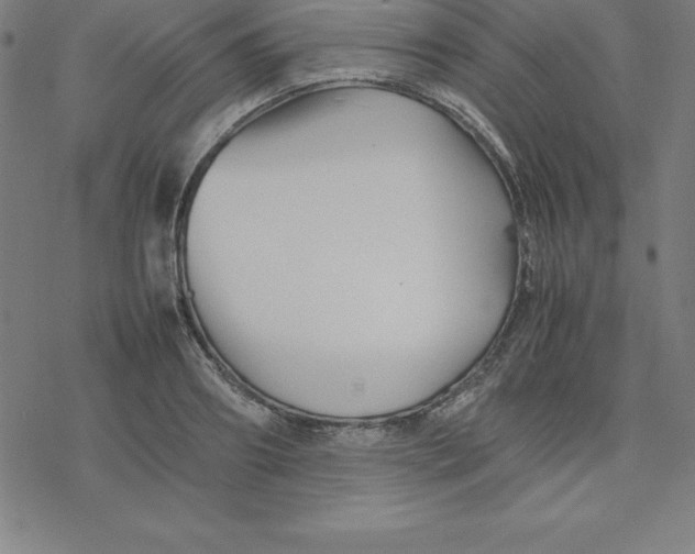 X0000077290890200611101340