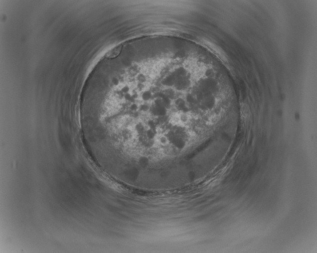 X0000077290891200611101340