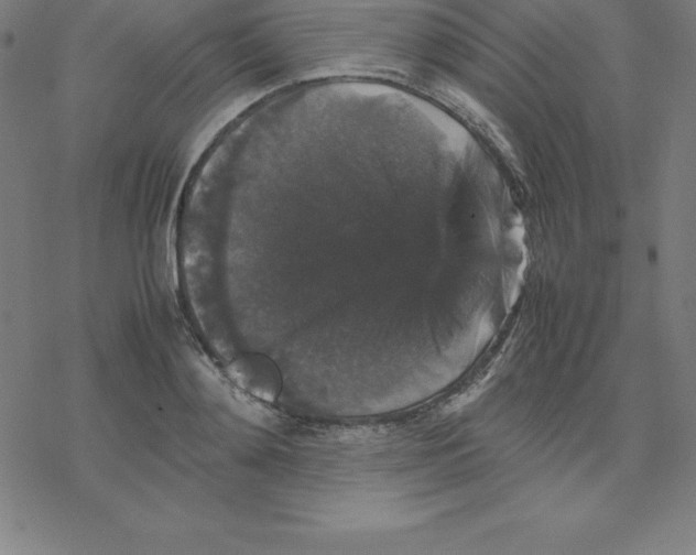 X0000077290892200611101340