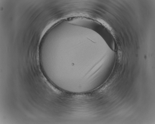 X0000077290894200611101340