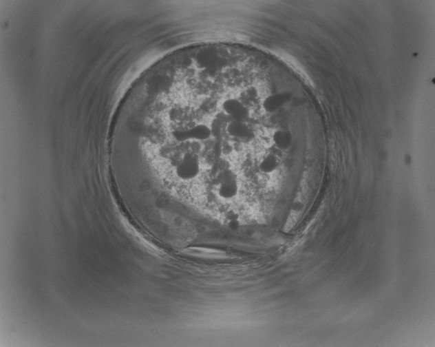 X0000077290895200611101340