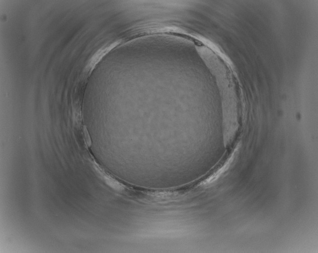 X0000077290897200611101340