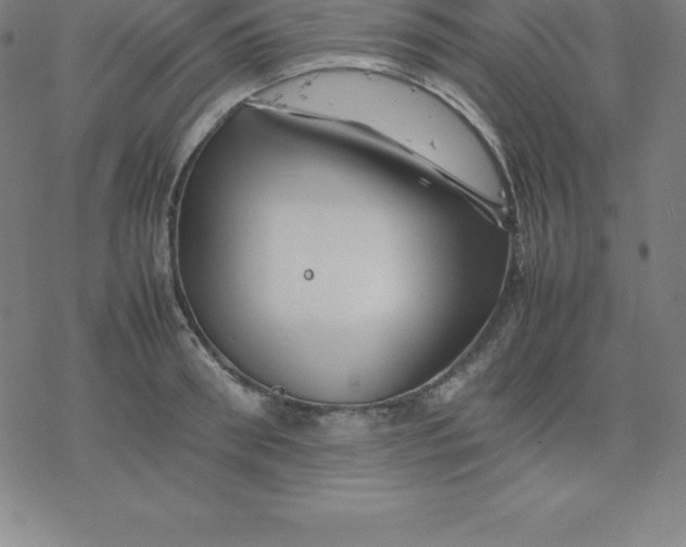 X0000077290898200611101340