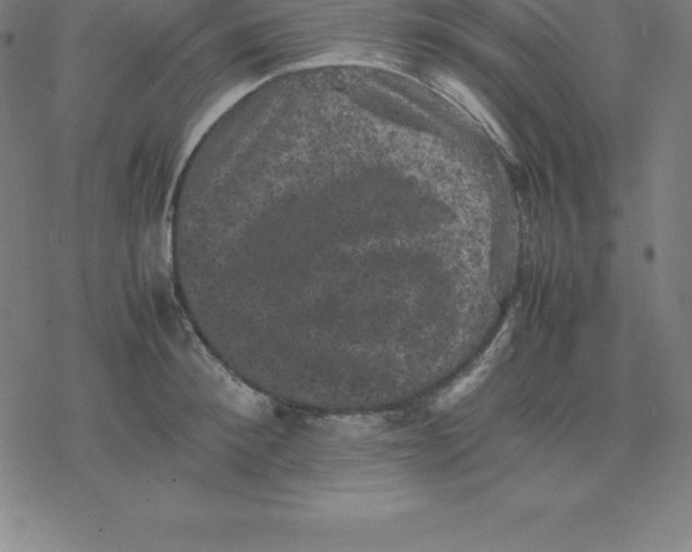 X0000077290900200611101340