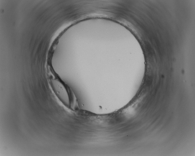 X0000077290902200611101340