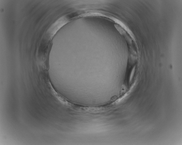 X0000077290905200611101340