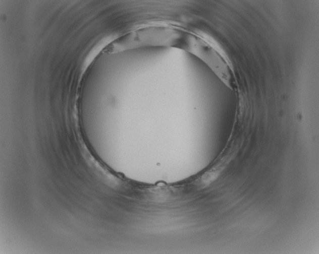 X0000077290906200611101340