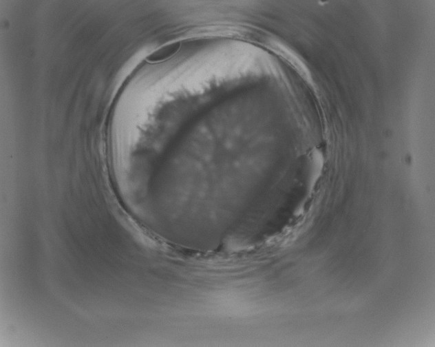 X0000077290907200611101340