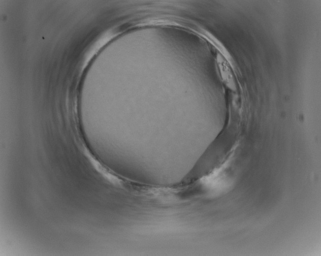 X0000077290909200611101340