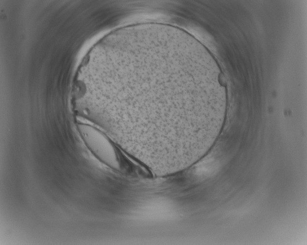 X0000077290912200611101340