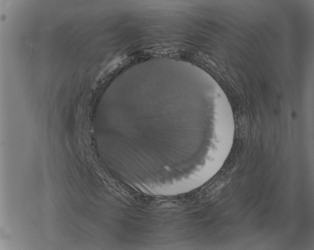 X0000077290913200611101339