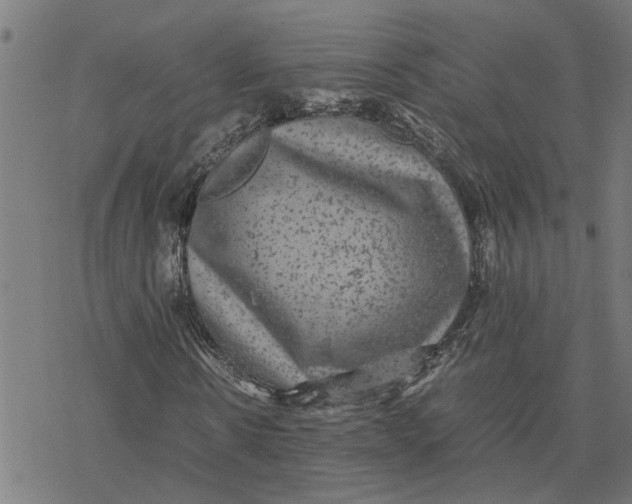 X0000077290914200611101339