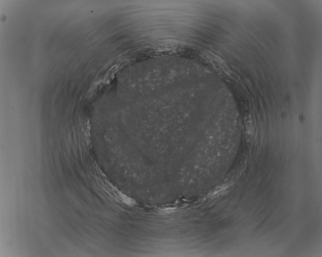 X0000077290916200611101339