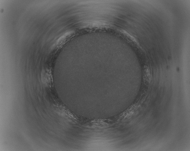 X0000077290918200611101339