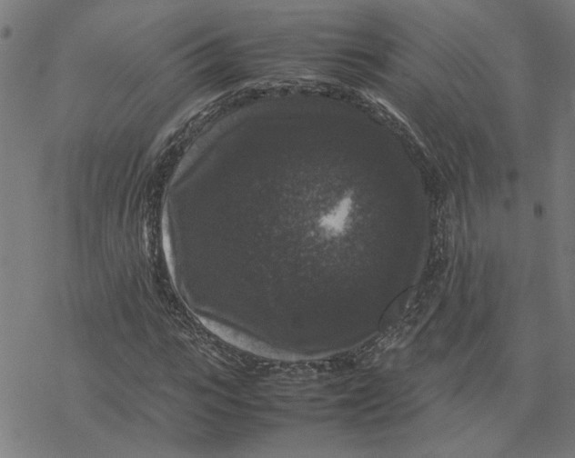 X0000077290919200611101339