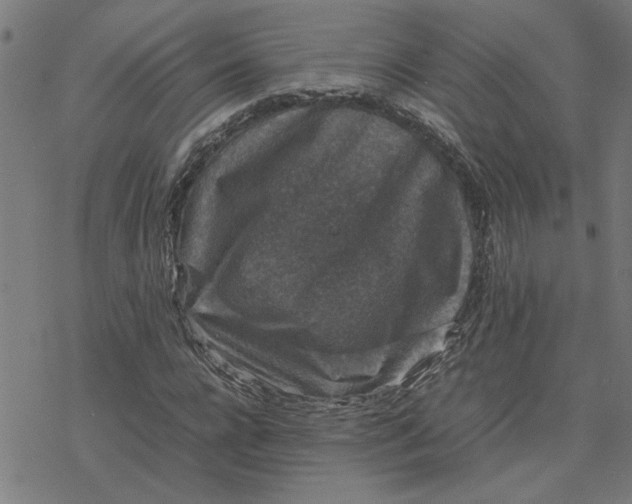 X0000077290920200611101339