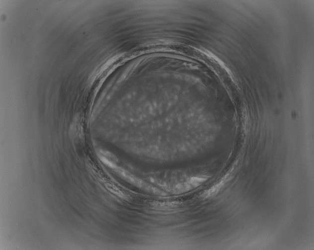 X0000077290921200611101339