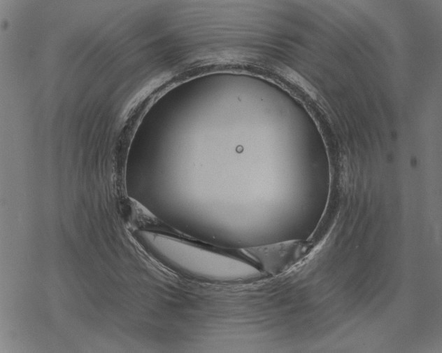 X0000077290922200611101339