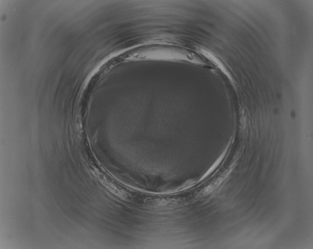 X0000077290923200611101339