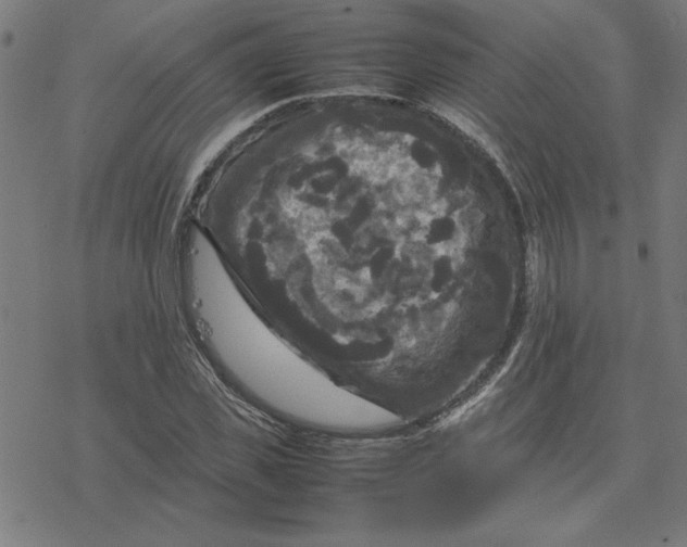 X0000077290925200611101339