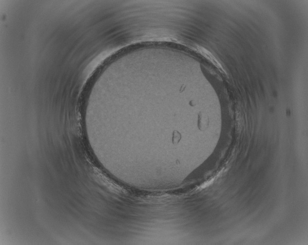 X0000077290926200611101339