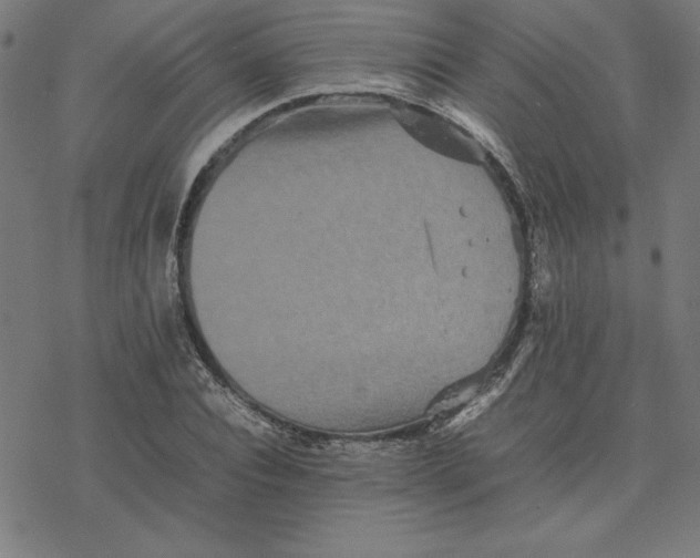 X0000077290928200611101339