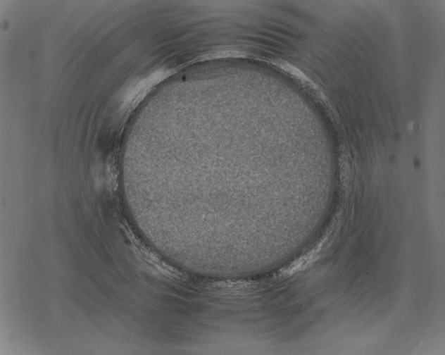 X0000077290929200611101339