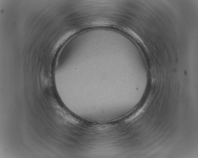 X0000077290930200611101339