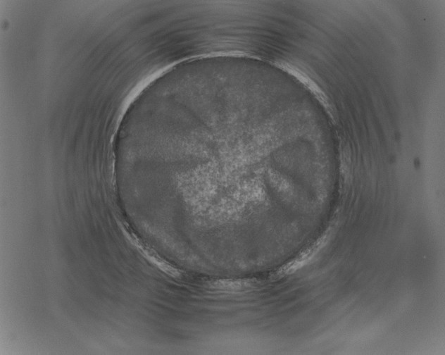 X0000077290933200611101339