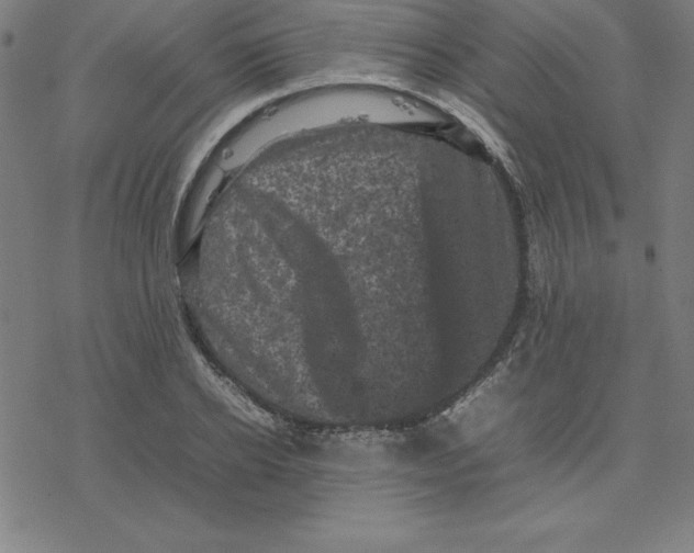 X0000077290934200611101339