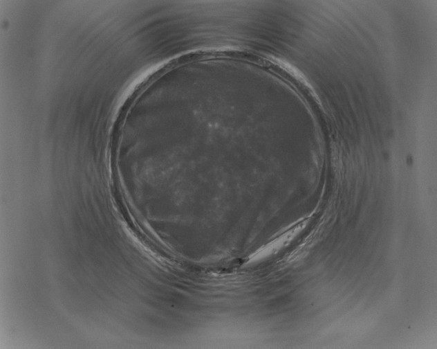 X0000077290935200611101339