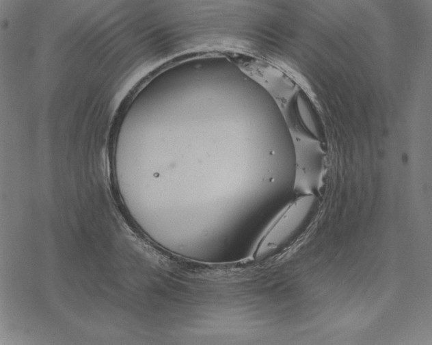 X0000077290936200611101339