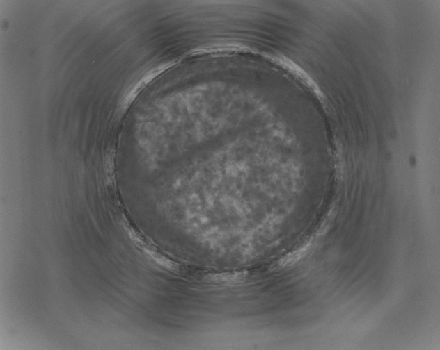 X0000077290937200611101339