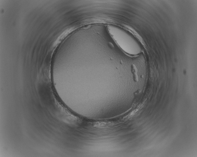 X0000077290938200611101339