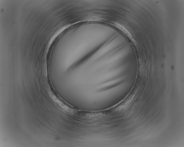 X0000077290939200611101339