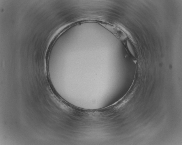 X0000077290940200611101339