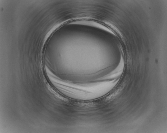 X0000077290941200611101339