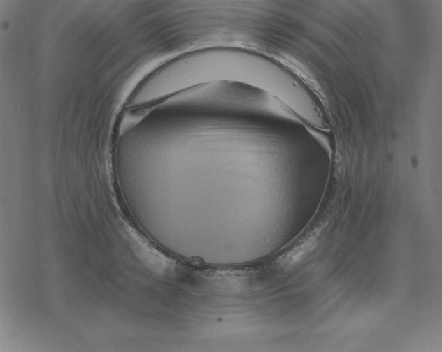 X0000077290942200611101339