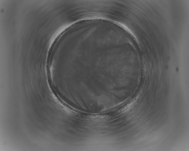 X0000077290943200611101339