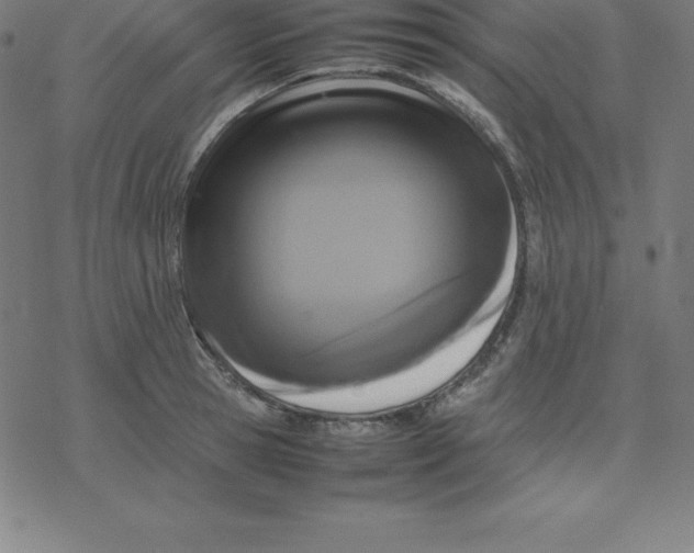 X0000077290945200611101339