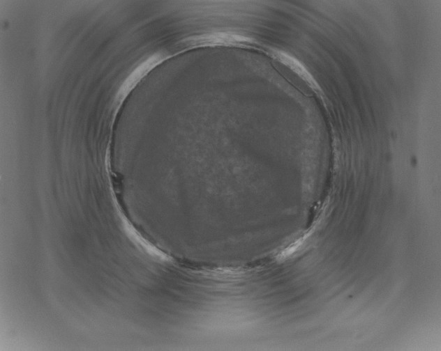 X0000077290946200611101339